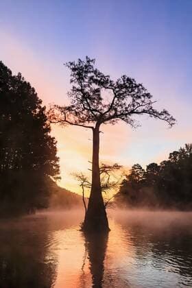 USA, Texas, Louisiana, Caddo Lake, Big Cypress Bayou, bald cypress forest at sunrise  FOF09249