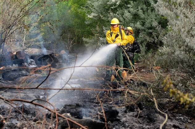 June 6, 2017 - Albuquerque, NM, U.S. - AFD Wildland firefighters hit the hot spots on a bosque fire Tuesday morning. AFD is calling it the Tingley Fire is less than a 1 4 acre in size and they have ruled out natural causes. Tuesday June. 06, 2017. Albuquerque U.S. - ZUMAab1_ 20170606_zaf_ab1_007 Copyright: xJimxThompsonx