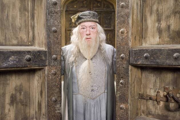 Warner Brothers Pictures Presents Harry Potter and the Order of the Phoenix Michael Gambon © 2007 Warner Bros. Entertainment Inc. - Harry Potter Publishing Rights © J. K. R.  Copyright: xMurrayxClosex 30292_018