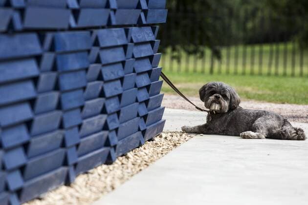 Francis Kere, Serpentine Pavilion 2017, London, UK London, UK. 20 June 2017. Diebedo Francis Kere, the award-winning architect from Gando, Burkina Faso, has designed the Serpentine Pavilion 2017, next to the Serpentine Gallery in Kensington Gardens. Kere leads the Berlin-based practice Kere Architecture. He is the 17th architect to accept the Serpentine Gallery s invitation to design a temporary Pavilion in its grounds. The Pavilion is open to the public from 23 June to 8 October 2017.