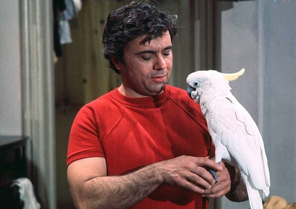 Robert Blake, Baretta circa 1975 ABC Hollywood CA USA  32337_257THA