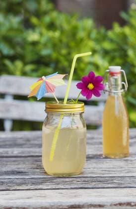 Glass of decorated homemade Elder lemonade  GWF05229