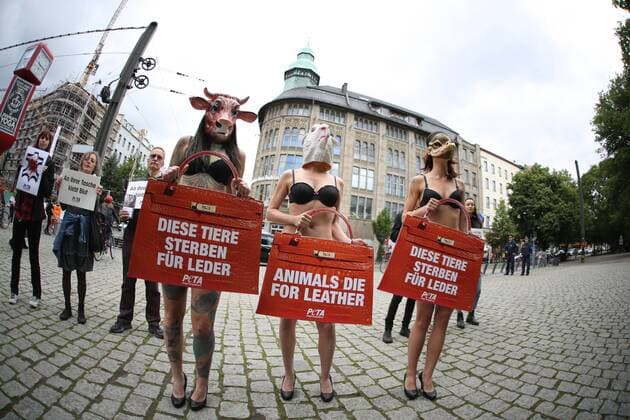 Germany: Demonstration against the agony of the animals Bikini-clad PETA supporters demonstrate with big leather bags at the beginning of the Fashion Week in front of the Jahndorf-Kaufhaus in Berlin Mitte. Sexy action against agony of the animals  SimonexKuhlmey