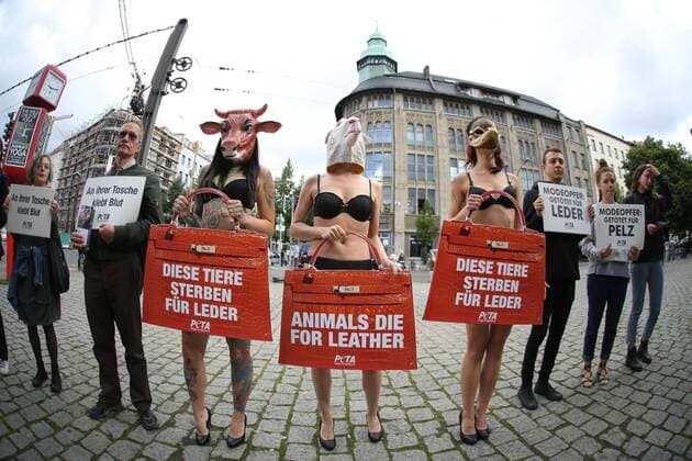 Germany: Demonstration against the agony of the animals Bikini-clad PETA supporters demonstrate with big leather bags at the beginning of the Fashion Week in front of the Jahndorf-Kaufhaus in Berlin Mitte. Sexy action against agony of the animals  SimonexKuhlmey