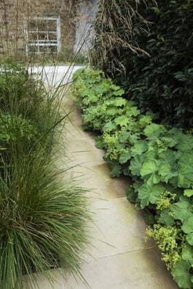 York stone paved path with ornamental grass and alchemilla mollis. Rear garden in Greenwich, South East London, UK, designed by Modular United Kingdom  Copyright: xPedroxSilmonx 14149-70-1