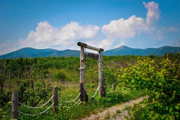 IMAGO Nature: Unsere Erde, Naturschutz, Naturschutzgebiete in Asien PRIMORYE TERRITORY, RUSSIA â€“ JUNE 29, 2017: A route to Lake Blagodatnoye at the Sikhote-Alin Nature Reserve in Russian Far East. The reserve has been inscribed on the UNESCO World Heritage List since 2001 and has been CA TS Conservation Assured Tiger Standards approved for managing an endangered Amur tiger conservation site since 2015. Yuri Smityuk TASS  TS055A5D