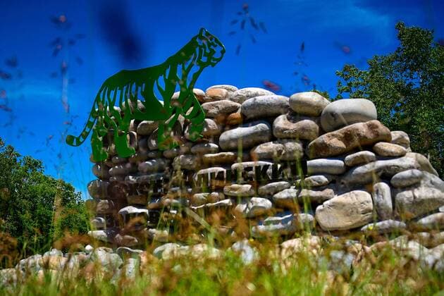 IMAGO Nature: Unsere Erde, Naturschutz, Naturschutzgebiete in Asien PRIMORYE TERRITORY, RUSSIA â€“ JUNE 26, 2017: A sign in the shape of an Amur tiger at the Sikhote-Alin Nature Reserve in Russian Far East. The reserve has been inscribed on the UNESCO World Heritage List since 2001 and has been CA TS Conservation Assured Tiger Standards approved for managing an endangered Amur tiger conservation site since 2015. Yuri Smityuk TASS  TS0559FA
