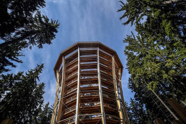 Treetop walkway in Janske Lazne, Krkonose mountains (Giant Mountains), Czech Republic, July 14, 2017. Walkway is 1300 meters, the lookout is 45 meters high. (CTKxPhoto DrahoslavxRamik) CTKPhotoF201707191802601 