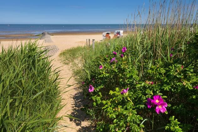 Europa; Deutschland; Cuxhaven; Niedersachsen; Hamburg; Neuwerk; Nordsee: Strandzugang bei Sahlenburg am Nordseestrand