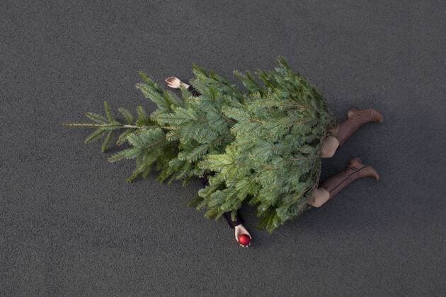 Woman lying buried under Christmas tree model released Symbolfoto  PSTF00057