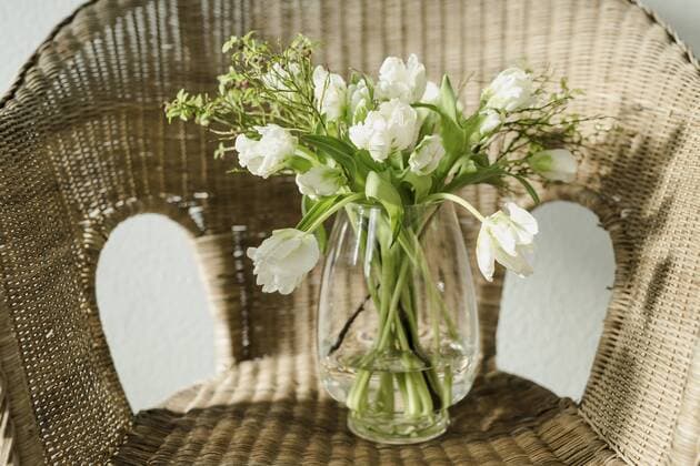 White tulips in flower vase  ASCF00746