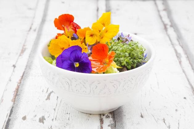 Bowl of leaf salad with various edible flowers  LVF06241