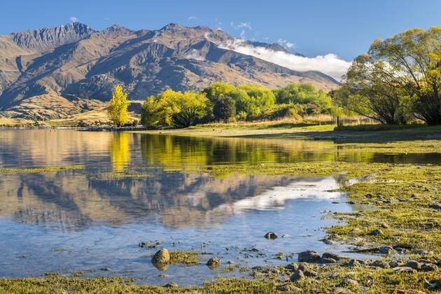 New Zealand, South Island, Gledhu Bay at Lake Wanaka  STSF01225