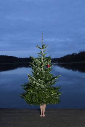 Woman standing behind Christmas tree on jetty model released Symbolfoto  PSTF00056