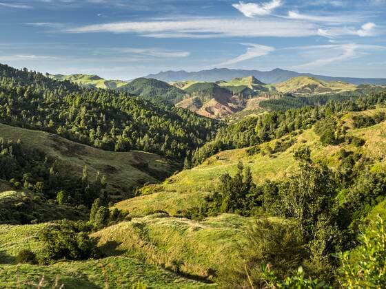 New Zealand, North Island, Region Waikato, scenics  STSF01231