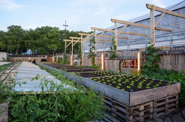 IMAGO Creative: Corporate: Klimaschutz, Digitalisierung und Urbanisierung Nantes, Restaurant La Cantine du Voyage, Urban Gardening