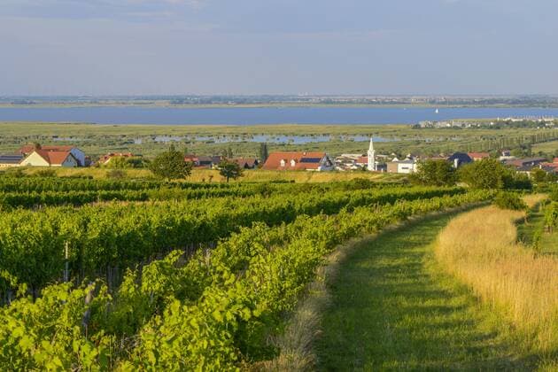Mörbisch am Neusiedler See, Seewinkel, Burgenland, Österreich Copyright: xKTHx ALLAT856360BU