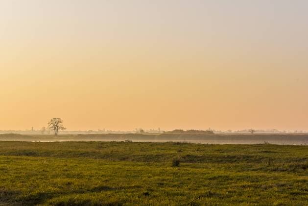 Pannonnisch, Seewinkel, Burgenland, Österreich Copyright: xKTHx ALLAT860612