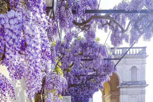 Villa d Este, Tivoli, Latium, Italien, UNESCO Weltkulturerbe Copyright: xKTHx ALLIT851313