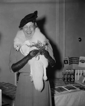 Berühmte Feministinnen, Eleanor Roosevelt May 31, 2017 - First Lady Eleanor Roosevelt being Presented with Orchid on her 55th Birthday, Washington DC, USA, Harris & Ewing, October 11, 1939 - ZUMAg145 20170531_zza_g145_008 Copyright: xJTxVintagex