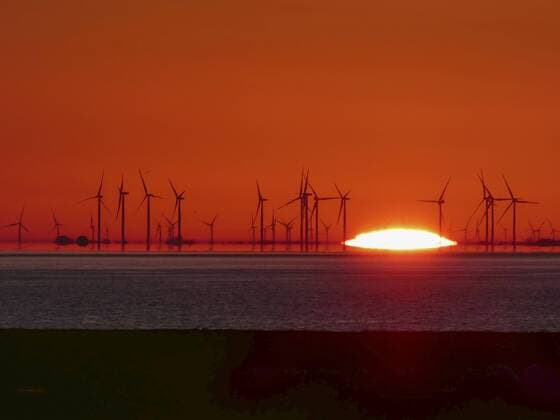 Sonnenaufgang ueber dem Wattenmeer mit Windraedern, Deutschland, Schleswig-Holstein, Nordfriesland, Hallig Hooge wadden sea and wind farm at sunrise, Germany, Schleswig-Holstein, Northern Frisia, Hallig Hooge BLWS460430 Copyright: xblickwinkel H.xBaesemannx