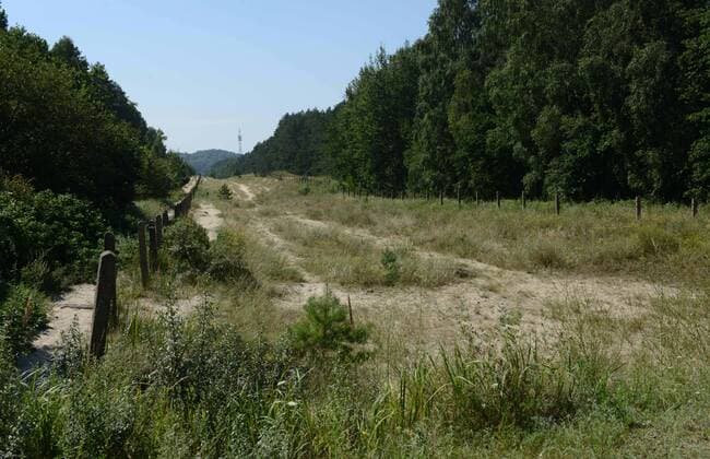 Ehemaliger Grenzstreifen der deutsch-polnischen Grenze unweit von Ahlbeck und Swinemuende, Swinoujscie, auf der Insel Usedom, Mecklenburg-Vorpommern, aufgenommen am 10. August 2017.