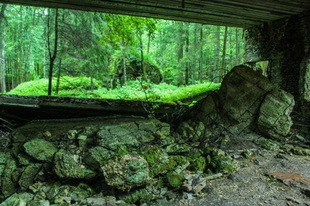 September 2, 2017 - Gierloz, Poland - People walking at the Wolf s Lair remains are seen on 2 September 2017 in Gierloz , Poland. Wolf s Lair (ger. Wolfsschanze) ruins of Adolf Hilter s war headquarters is ItÃ¢â‚¬â ¢s a hidden town in the woods consisting of 200 buildings: shelters, barracks, 2 airports, a power station, a railway station, air-conditioners, water supplies, heat-generating plants and two teleprinters. Gierloz Poland  - ZUMAn230 20170902_zaa_n230_584 Copyright: xMichalxFludrax