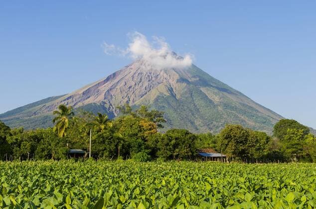  Tabakfeld vor dem Vulkan Concepcion, Insel Ometepe, Nicaragua-See (Lago Cocibolca), Nicaragua, Mittelamerika Copyright: imageBROKER/OliverxGerhard ibxoge04537317.jpg