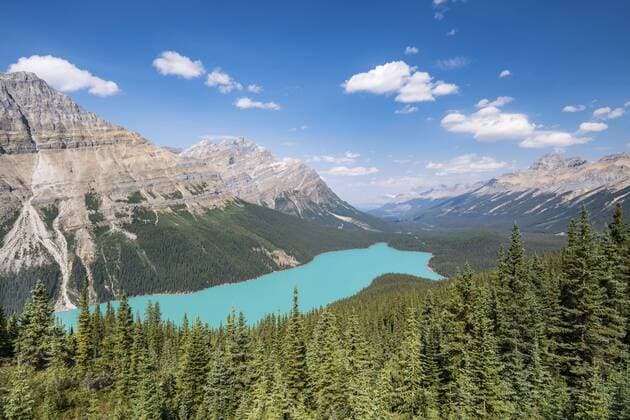 Peyto Lake, Banff National Park, kanadische Rocky Mountains, Alberta, Kanada, Nordamerika Copyright: imageBROKER RobertxHaasmann ibxroh04560824.jpg