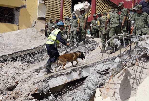 (170908) -- OAXACA (MEXICO), Sept. 8, 2017 -- Members of security forces work with a rescue dog over debris from collapsed structures after an earthquake in the town of Juchitan, Oaxaca state, Mexico, on Sept. 8, 2017. The 8.2 magnitude quake which rocked Mexico on Thursday night has now left a preliminary death toll of 58, Mexico s national earthquake service, SSN, said on Friday. ) MEXICO-OAXACA-EARTHQUAKE DavidxdexlaxPaz 