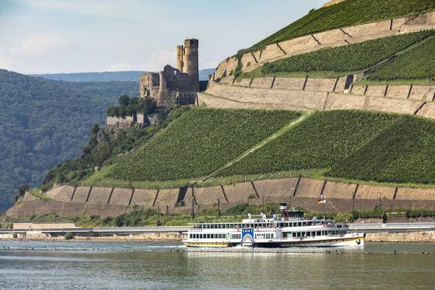 Ruine der Burg Ehrenfels im Oberen Mittelrheintal, Weinberge bei Rüdesheim, Ausflugsschiff Raddampfer Goethe,