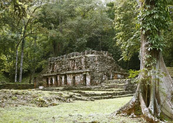 Tempel, Yaxchilan, Mayastätte, Selva Lacandona, Bundesstaat Chiapas, Mexiko, Mittelamerika Copyright: imageBROKER/MartinaxKatz iblcxb04551665.jpg