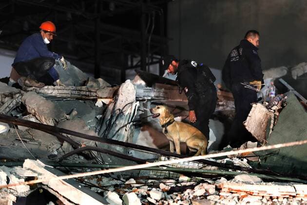 September 20, 2017 - EUM20170920NAC53.JPG .CIUDAD DE MEXICO EarthquakeSismo-CDMX.- Personal de rescate trabajo durante toda la noche en el edifico que se colapso, tras el sismo del 19 de septiembre de 2017, en las calles de Medellin y San Luis potosi en la colonia Roma, 20 de septiembre de 2017. En imagen, una unidad de rescate canino. Foto: Agencia EL UNIVERSALJorge serratosMAVC  - ZUMAu78_ 20170920_zaf_u78_060 Copyright: xElxUniversalx