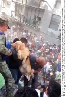 Earthquake in Mexico: The death toll rises to 237. An earthquake of magnitude 7.1 hit Mexico on Tuesday. A young girl trapped in the rubble of her collapsed school in Mexico City raised hopes among hundreds of rescuers working furiously to try to free her. This catastrophe occurs 32 years to the day after the powerful earthquake of 1985 which had caused more than 10,000 deaths. Mexico Mexico  549046