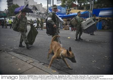 September 21, 2017 - Mexico City, Mexico City, MX - Local and international rescue teams with technical equipment and special trained dogs helping to find survivors in Colonia. Roma after a powerful earthquake jolted Mexico City. A magnitude 7.1 earthquake shook central Mexico on Tuesday, collapsing several buildings and scattering rubble on the streets on the anniversary of a strong 1985 quake. Mexico City MX - ZUMAa136 20170921_zap_a136_012 Copyright: xJoelxAlvarezx