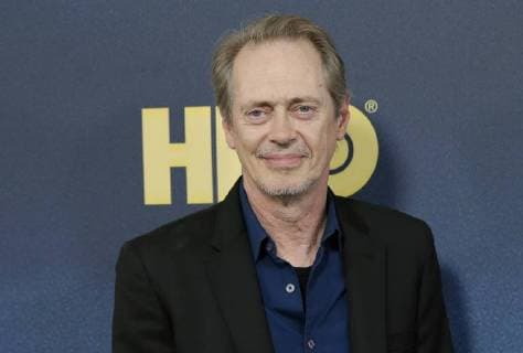 Steve Buscemi arrives on the red carpet at the Curb Your Enthusiasm season 9 premiere at SVA Theater on September 27, 2017 in New York City.  NYP20170927133 JOHNxANGELILLO