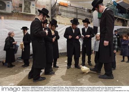 Ultra-Orthodox Jews examine a chicken before performing the Kaparot ritual before Yom Kippur, the Day of Atonement, in the religious neighborhood Mea Shearim in Jerusalem, Israel, September 28, 2017. Religious Jews believe the ritual transfers their sins from the past year to the chicken, which is then slaughtered and given to the poor. Kaparot is performed before Yom Kippur, the holiest day in the Jewish year, which begins at sunset Friday, September 29.  JER2017092819 DEBBIExHILL