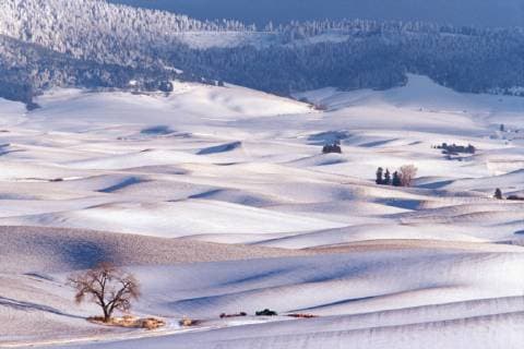 View from Steptoe Butte of rolling hills covered in winter snow in Whitman County Washington state  Copyright: xJuliexEggers