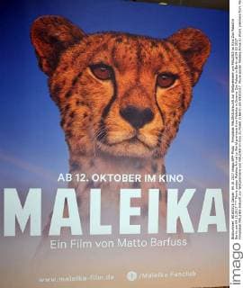 Filmplakat MALEIKA Ankunft zur Weltpremiere von MALEIKA im Kino Zoo Palast in Berlin am 04.10.2017