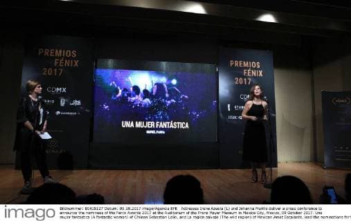 Actresses Irene Azuela (L) and Johanna Murillo deliver a press conference to announce the nominees of the Fenix Awards 2017 at the Auditorium of the Franz Mayer Museum in Mexico City, Mexico, 09 October 2017. Una mujer fantastica (A fantastic woman) of Chilean Sebastian Lelio, and La region salvaje (The wild region) of Mexican Amat Escalante, lead the nominations for the 4th Ibero American Cinema Awards. Una mujer fantastica leads nominations for the Ibero American Fenix Awards !ACHTUNG: NUR REDAKTIONELLE NUTZUNG!  Copyright: xMarioxGuzmánx MEX002 20171009-636431854456897067
