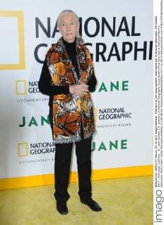 Premiere du film documentaire Jane realise par le National Geographic. 09 October 2017 - Hollywood, California - Dr. Jane Goodall. L.A. premiere of National Geographic Documentary Films Jane held at Hollywood Bowl in Hollywood. Photo Credit: Birdie Thompson AdMedia 221387 Birdie Thompson AdMedia Starface 2017-10-09 CA Hollywood Etats-Unis  Copyright: xBirdiexThompson AdMediax STAR_221387_008