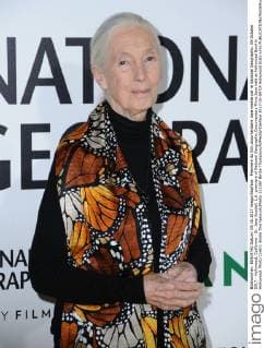 Premiere du film documentaire Jane realise par le National Geographic. 09 October 2017 - Hollywood, California - Dr. Jane Goodall. L.A. premiere of National Geographic Documentary Films Jane held at Hollywood Bowl in Hollywood. Photo Credit: Birdie Thompson AdMedia 221387 Birdie Thompson AdMedia Starface 2017-10-09 CA Hollywood Etats-Unis  Copyright: xBirdiexThompson AdMediax STAR_221387_011
