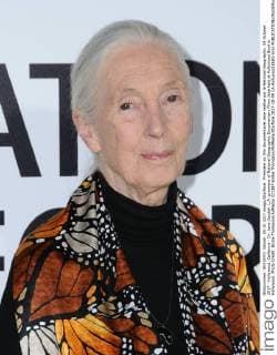 Premiere du film documentaire Jane realise par le National Geographic. 09 October 2017 - Hollywood, California - Dr. Jane Goodall. L.A. premiere of National Geographic Documentary Films Jane held at Hollywood Bowl in Hollywood. Photo Credit: Birdie Thompson AdMedia 221387 Birdie Thompson AdMedia Starface 2017-10-09 CA Hollywood Etats-Unis  Copyright: xBirdiexThompson AdMediax STAR_221387_012