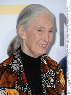 Premiere du film documentaire Jane realise par le National Geographic. 09 October 2017 - Hollywood, California - Dr. Jane Goodall. L.A. premiere of National Geographic Documentary Films Jane held at Hollywood Bowl in Hollywood. Photo Credit: Birdie Thompson AdMedia 221387 Birdie Thompson AdMedia Starface 2017-10-09 CA Hollywood Etats-Unis  Copyright: xBirdiexThompson AdMediax STAR_221387_015