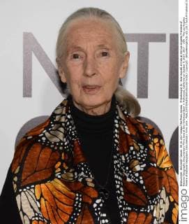 Primatologist Dr. Jane Goodall arrives at the Los Angeles Premiere of National Geographic Documentary Films Jane at the Hollywood Bowl in Hollywood, California on October 9, 2017. 2017 - USA - The Los Angeles Preiere of National Geographic Documentary Films Jane .  Copyright: xBillyxBennightxIIx