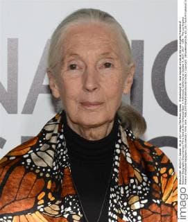Primatologist Dr. Jane Goodall arrives at the Los Angeles Premiere of National Geographic Documentary Films Jane at the Hollywood Bowl in Hollywood, California on October 9, 2017. 2017 - USA - The Los Angeles Preiere of National Geographic Documentary Films Jane .  Copyright: xBillyxBennightxIIx