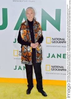 Jane Goodall bei der Jane National Geographic Documentary Film Premiere am 9.10.2017 in Los Angeles Jane Filmpremiere in Los Angeles, 2017