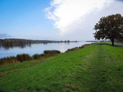 Oderbruch in Brandenburg, Oder Deich bei Bienenwerder Oderbruch *** Or breakthrough in Brandenburg Or Dyke at Bee Werder Or breakthrough