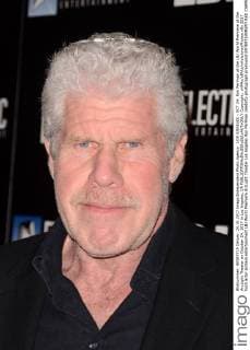 LOS ANGELES - OCT 24: Ron Perlman at the LBJ World Premiere at the ArcLight Theater on October 24, 2017 in Los Angeles, CA  Copyright: xHPAx xIPAx xHutchinsxPhotox