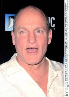 LOS ANGELES - OCT 24: Woody Harrelson at the LBJ World Premiere at the ArcLight Theater on October 24, 2017 in Los Angeles, CA  Copyright: xHPAx xIPAx xHutchinsxPhotox